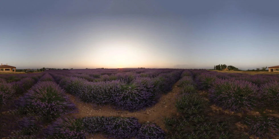 Lever de soleil sur le plateau de Valensole
